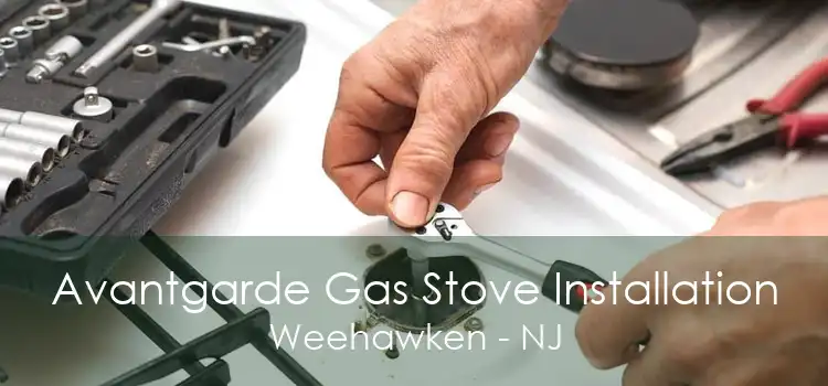 Avantgarde Gas Stove Installation Weehawken - NJ