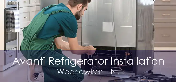 Avanti Refrigerator Installation Weehawken - NJ