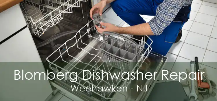 Blomberg Dishwasher Repair Weehawken - NJ