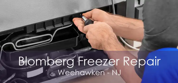 Blomberg Freezer Repair Weehawken - NJ