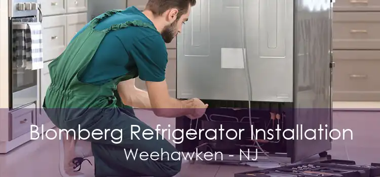 Blomberg Refrigerator Installation Weehawken - NJ