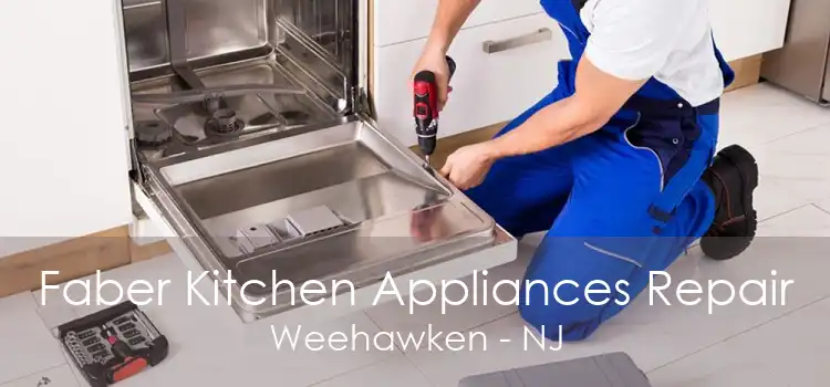 Faber Kitchen Appliances Repair Weehawken - NJ