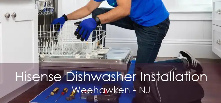 Hisense Dishwasher Installation Weehawken - NJ