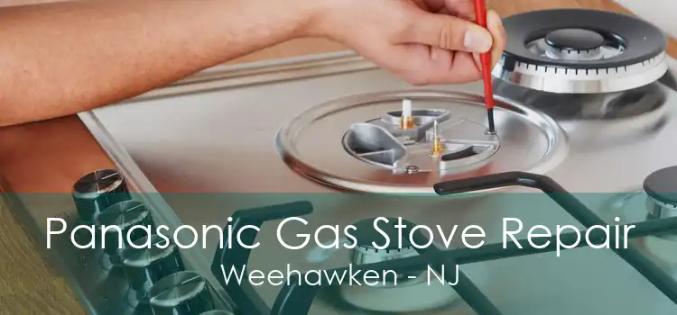 Panasonic Gas Stove Repair Weehawken - NJ