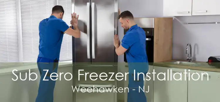 Sub Zero Freezer Installation Weehawken - NJ