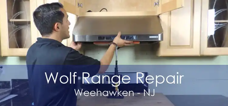 Wolf Range Repair Weehawken - NJ